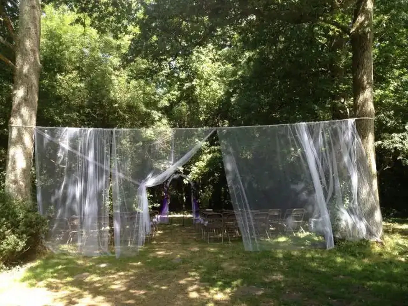 Cérémonie dans le bois