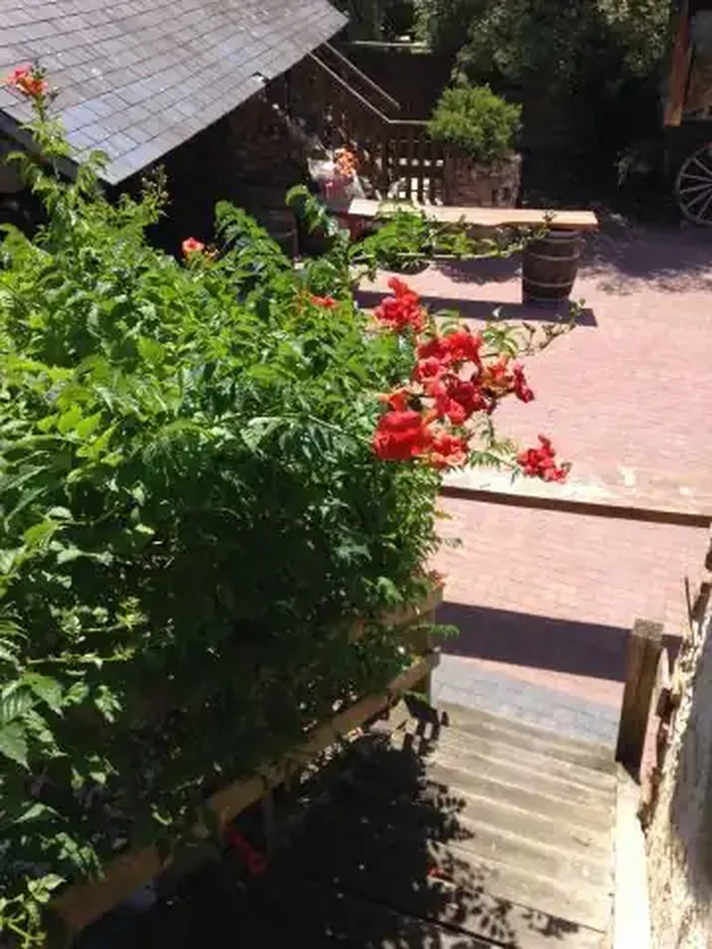 Escalier du petit dortoir